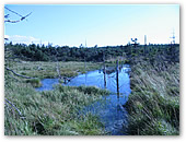 Wandern im Georgenfelder Hochmoor