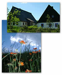 Historische Erzgebirgshäuser in Zinnwald